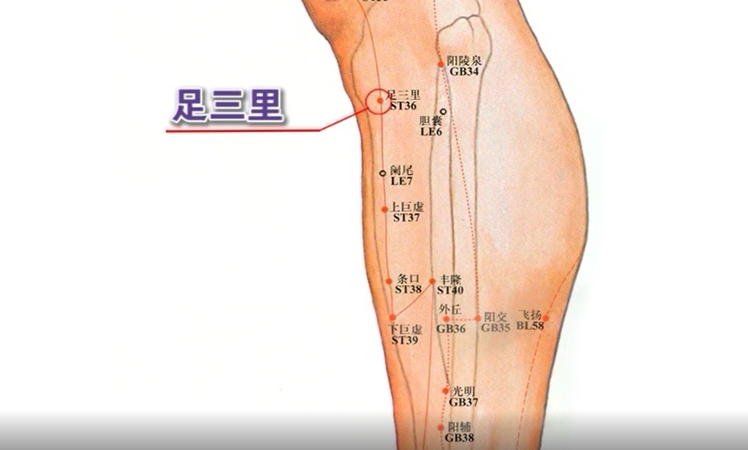 电针促进腹部术后肠胃功能恢复技术